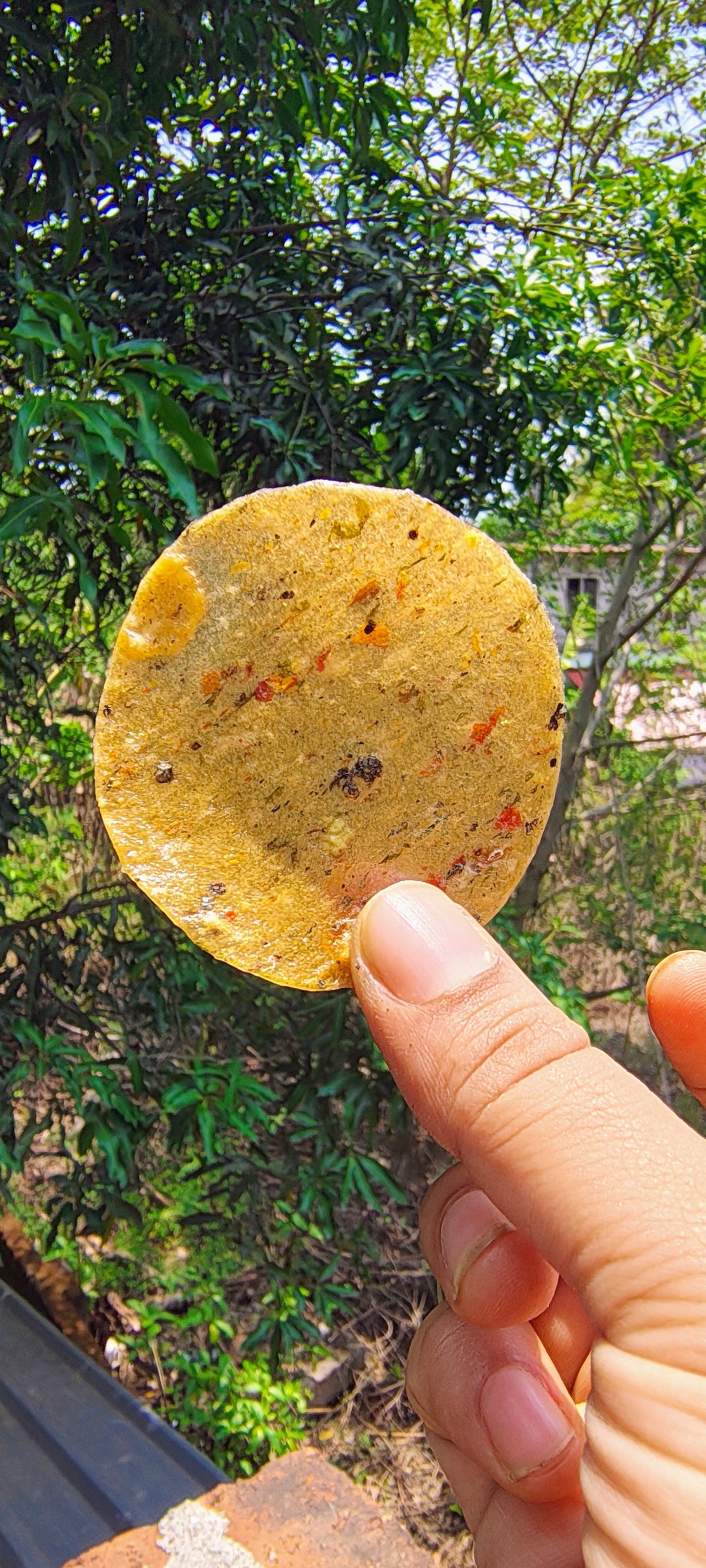 Masala Pappad 100 gm