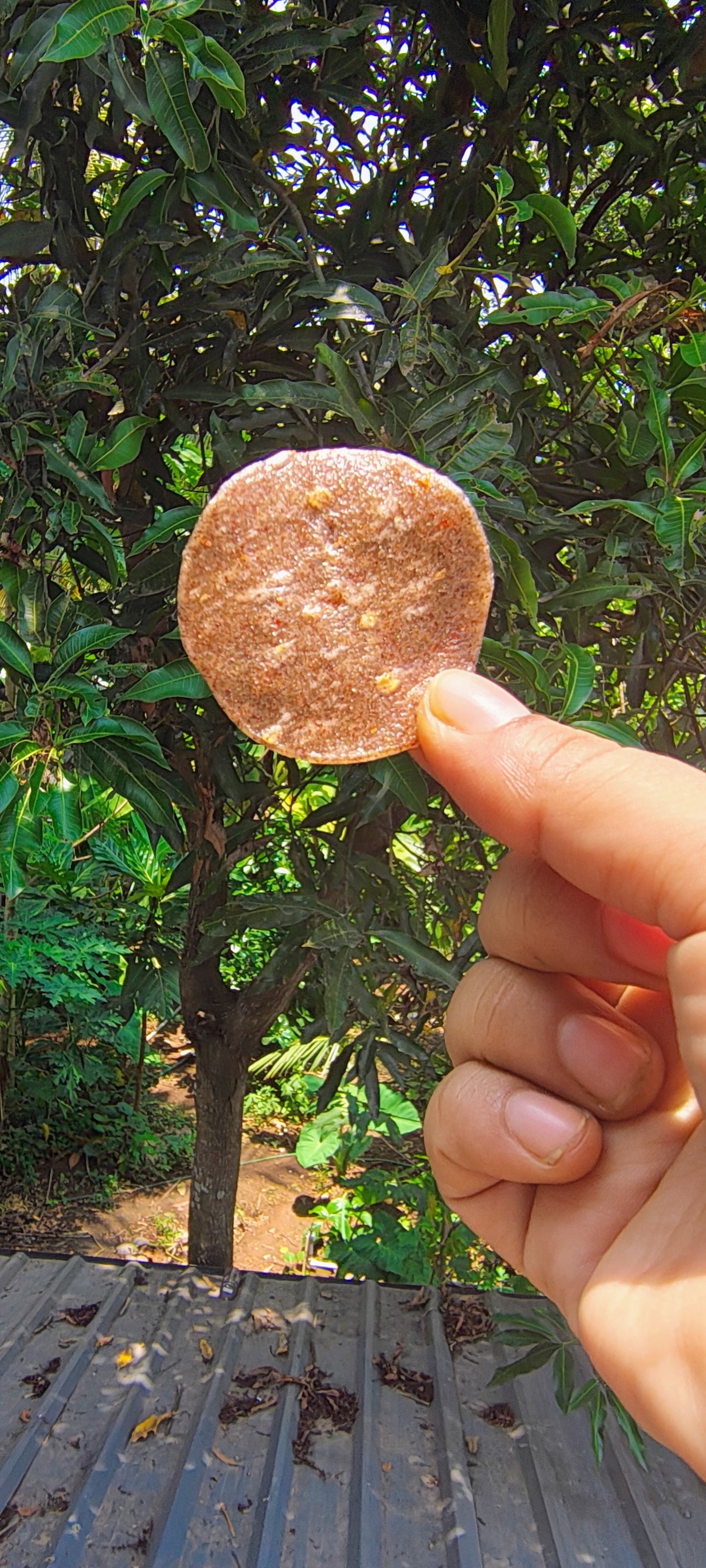 Onion Pappadam 100 gm