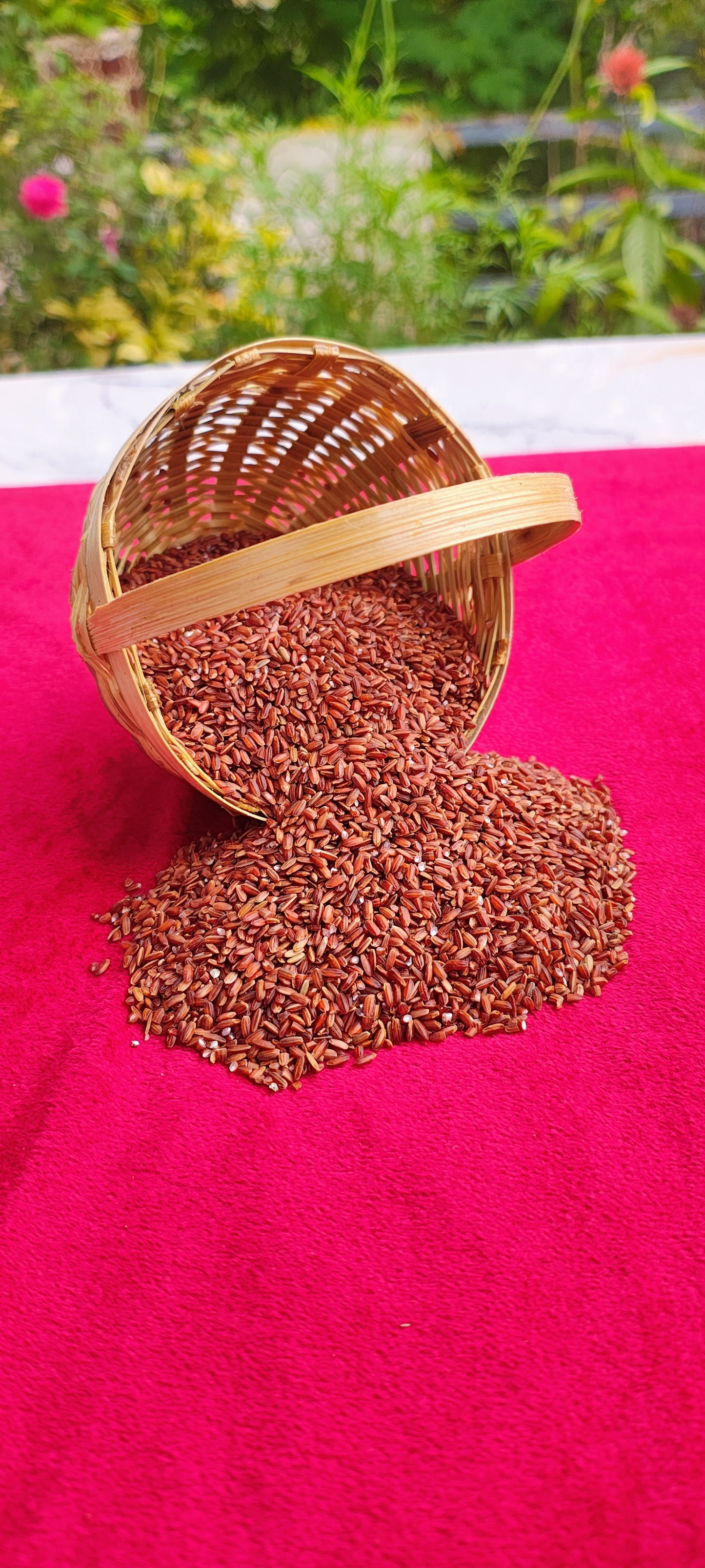 Navara Rice / Njavara Ari | Ayurvedic Rice for Immunity & Wellness (500 Gm)
