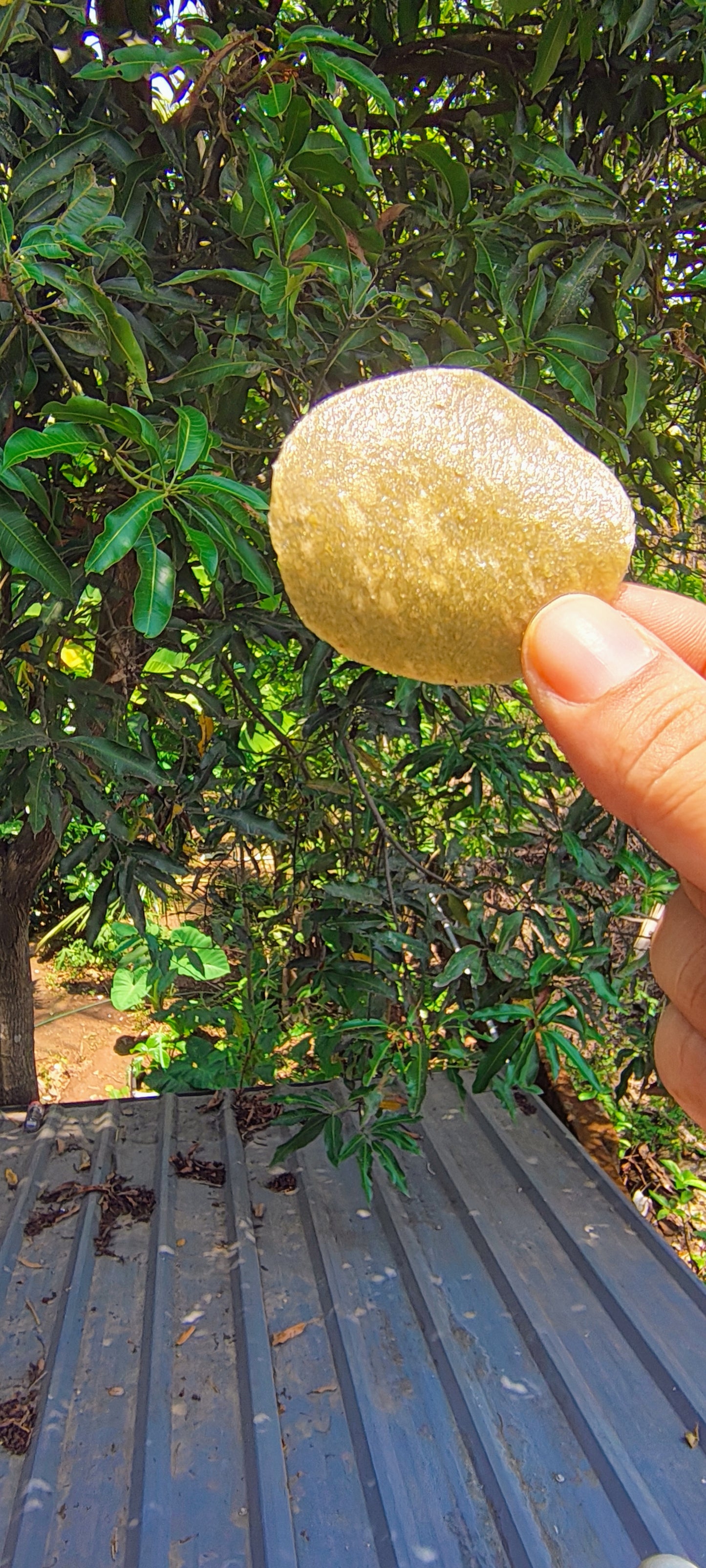 Pudina Pappad 100 gm