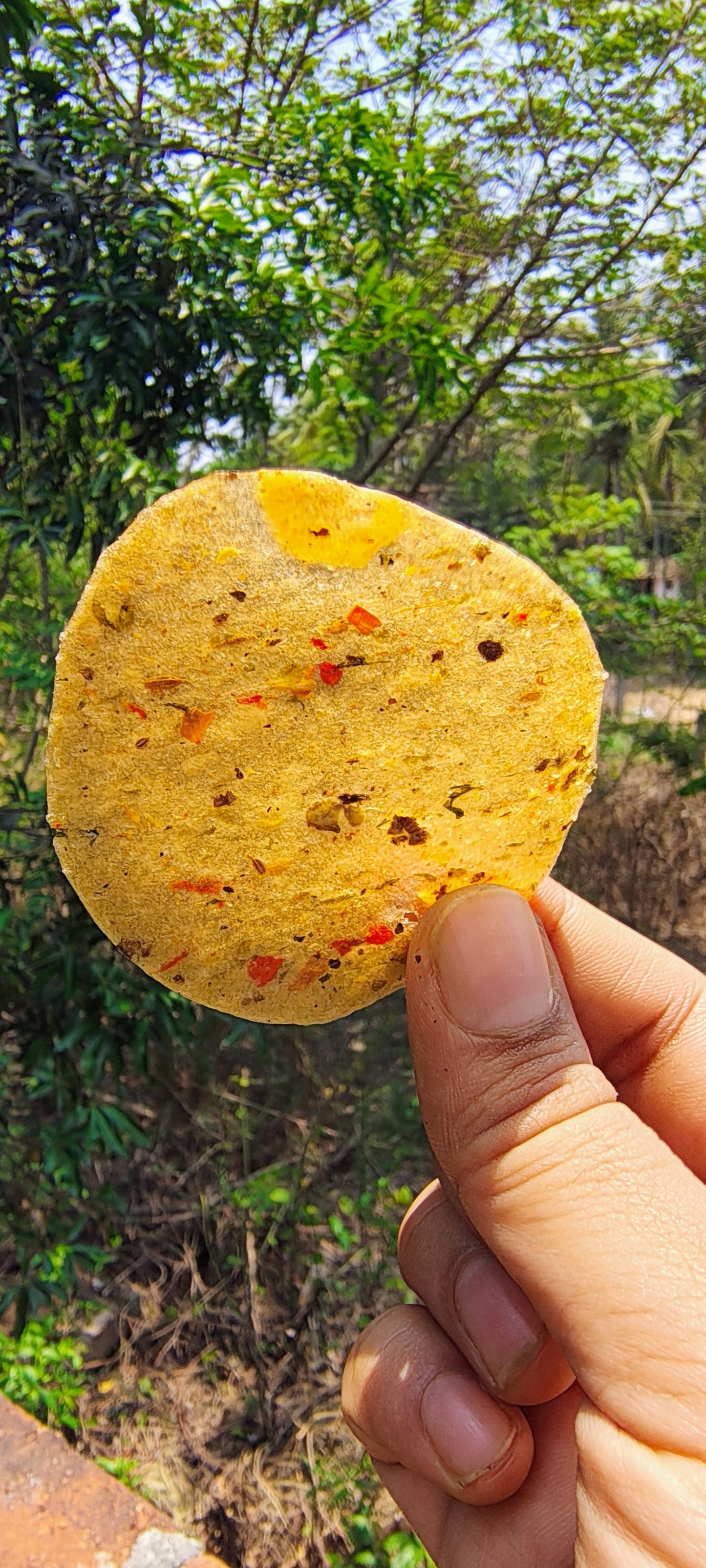 Masala Pappad 100 gm