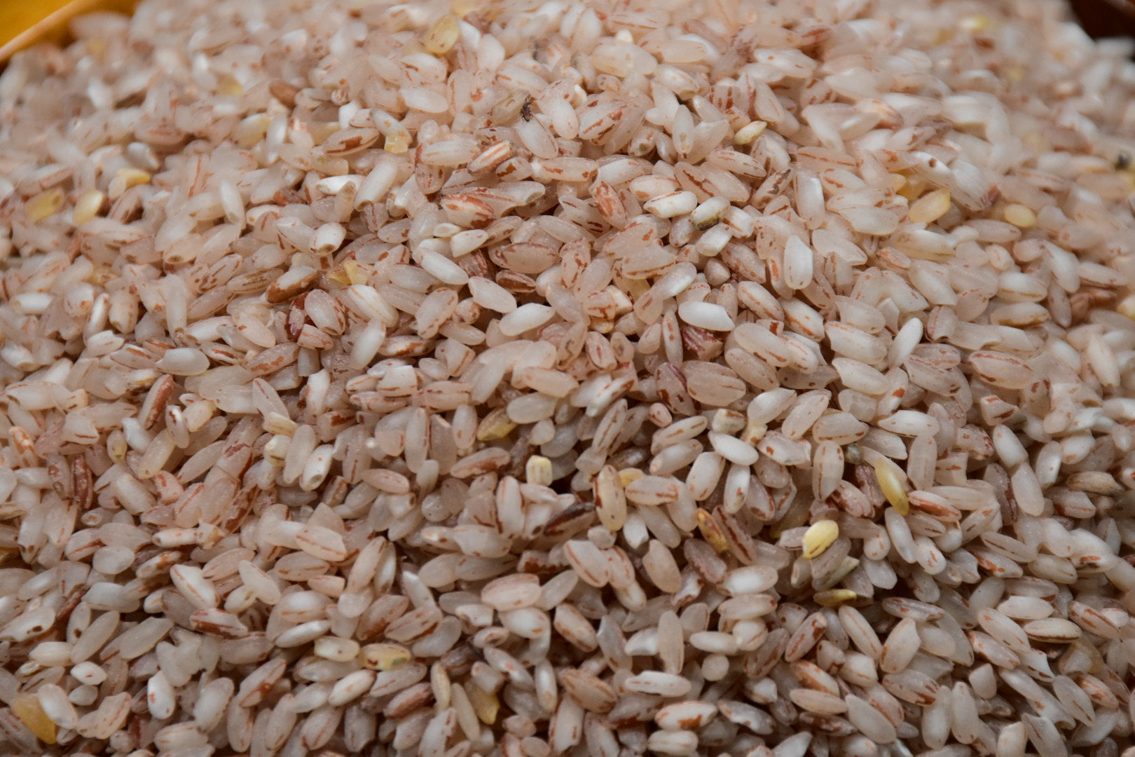 Unakkalari AdukkalaOnline in unakkalari-adukkalaonline-in