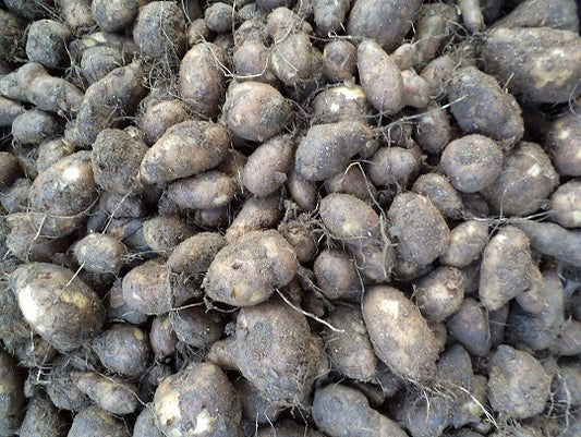 Chinese Potato - Koorka(500 gm) - AdukkalaOnline.in